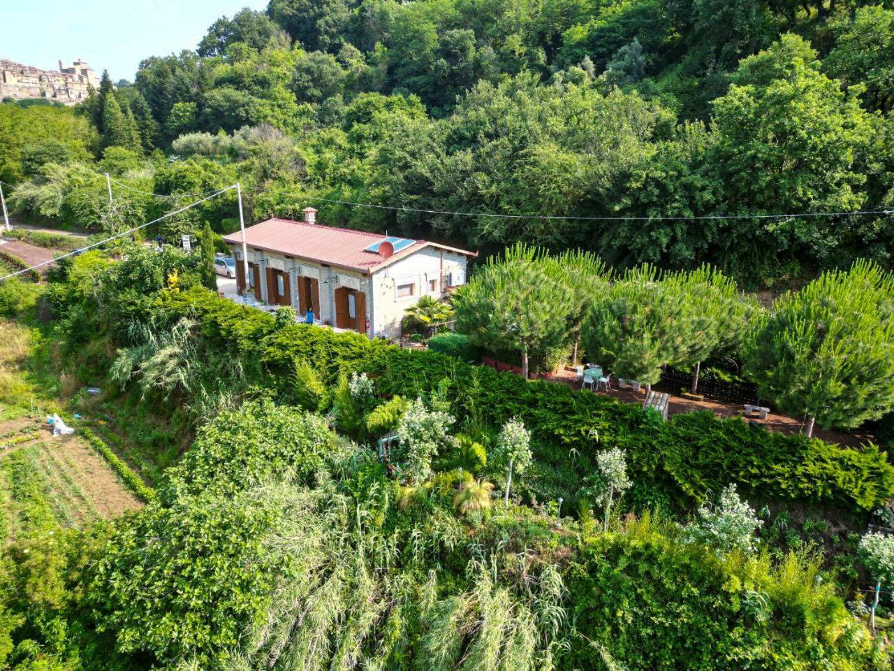 Agriturismo Le Fontane - Lago Di Bolsena Villa Grotte di Castro Exterior foto